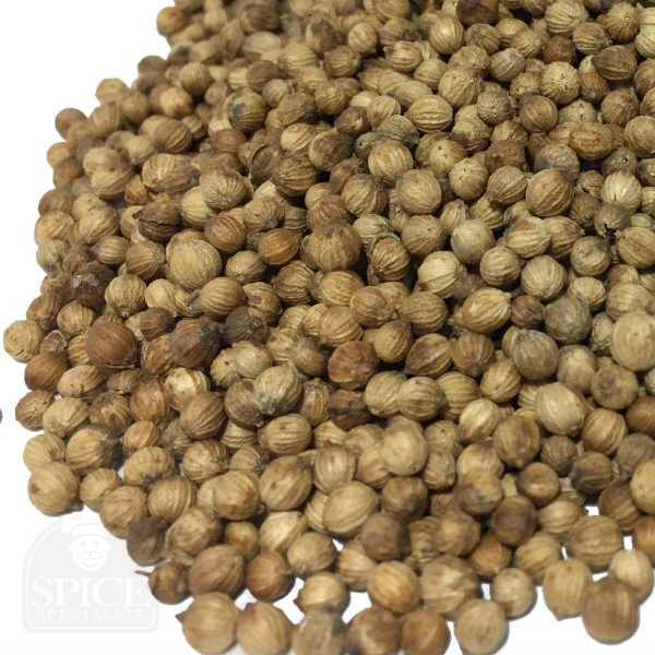 coriander seeds spice whole
