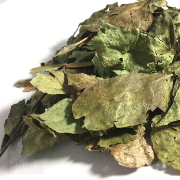 curry leaves whole spice specialist