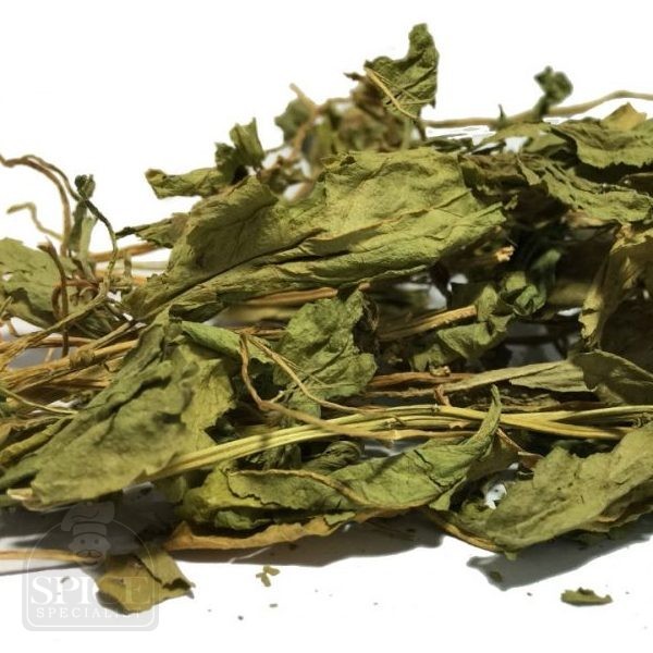 epazote mexican herb leaves