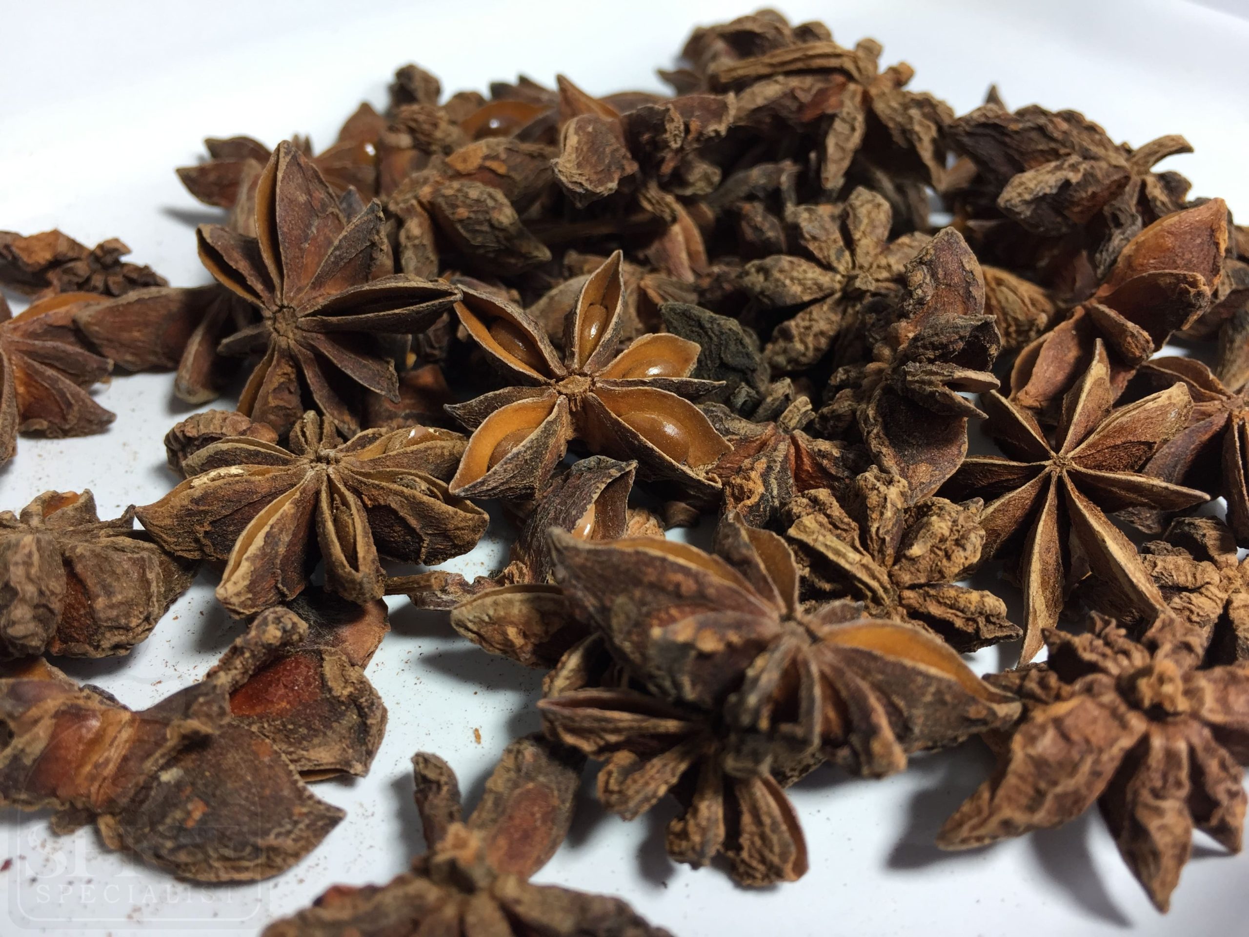 star anise pods whole spice